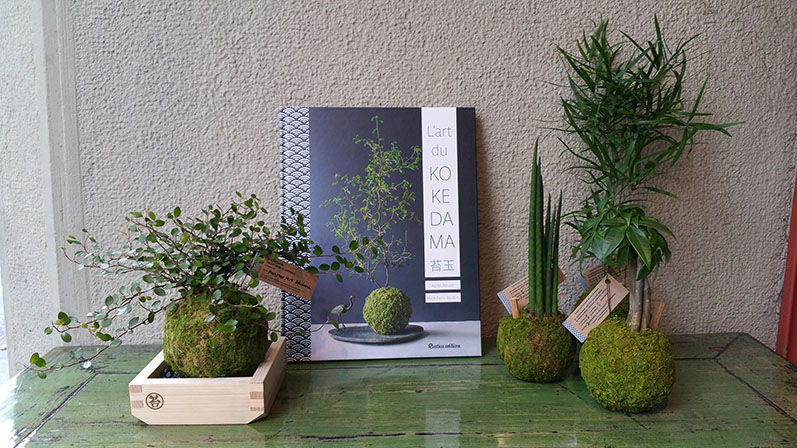 Meuble  Esprit d'Asie : neuf ou ancien, paravent, lampes japonaise, lampe Céline Wright
